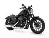 Harley Davidson XL883 Iron