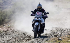 Triumph Organizes Tiger Training Academy In Delhi